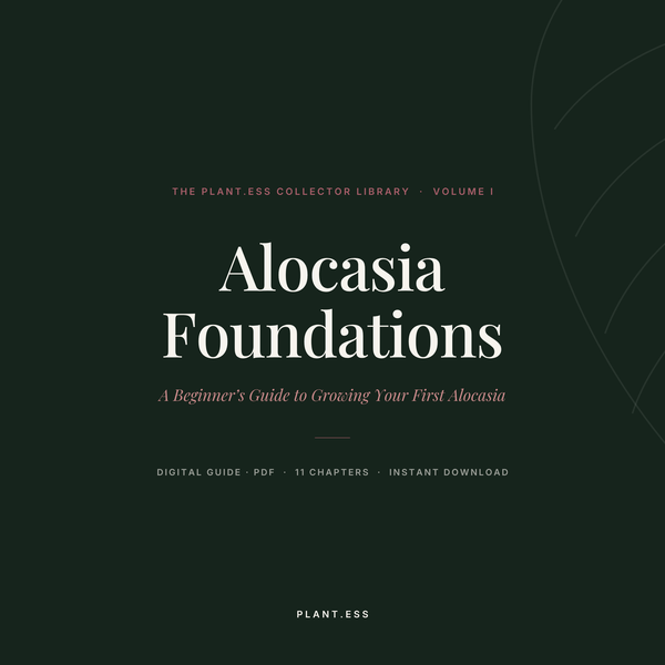 Alocasia Foundations — Digital Care Guide (Vol. I)