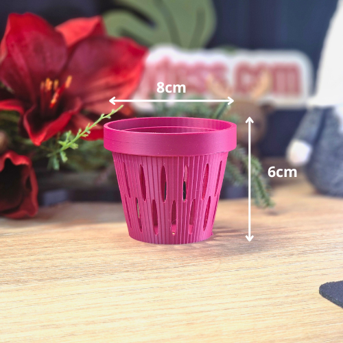 medium size plant pot MIDI SIPS Self-Watering Plant Pot