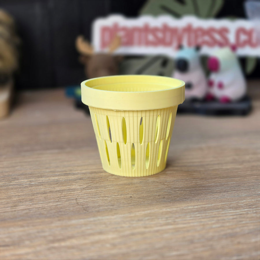 MIDI SIPS | Self-Watering Plant Pot for Medium Plants