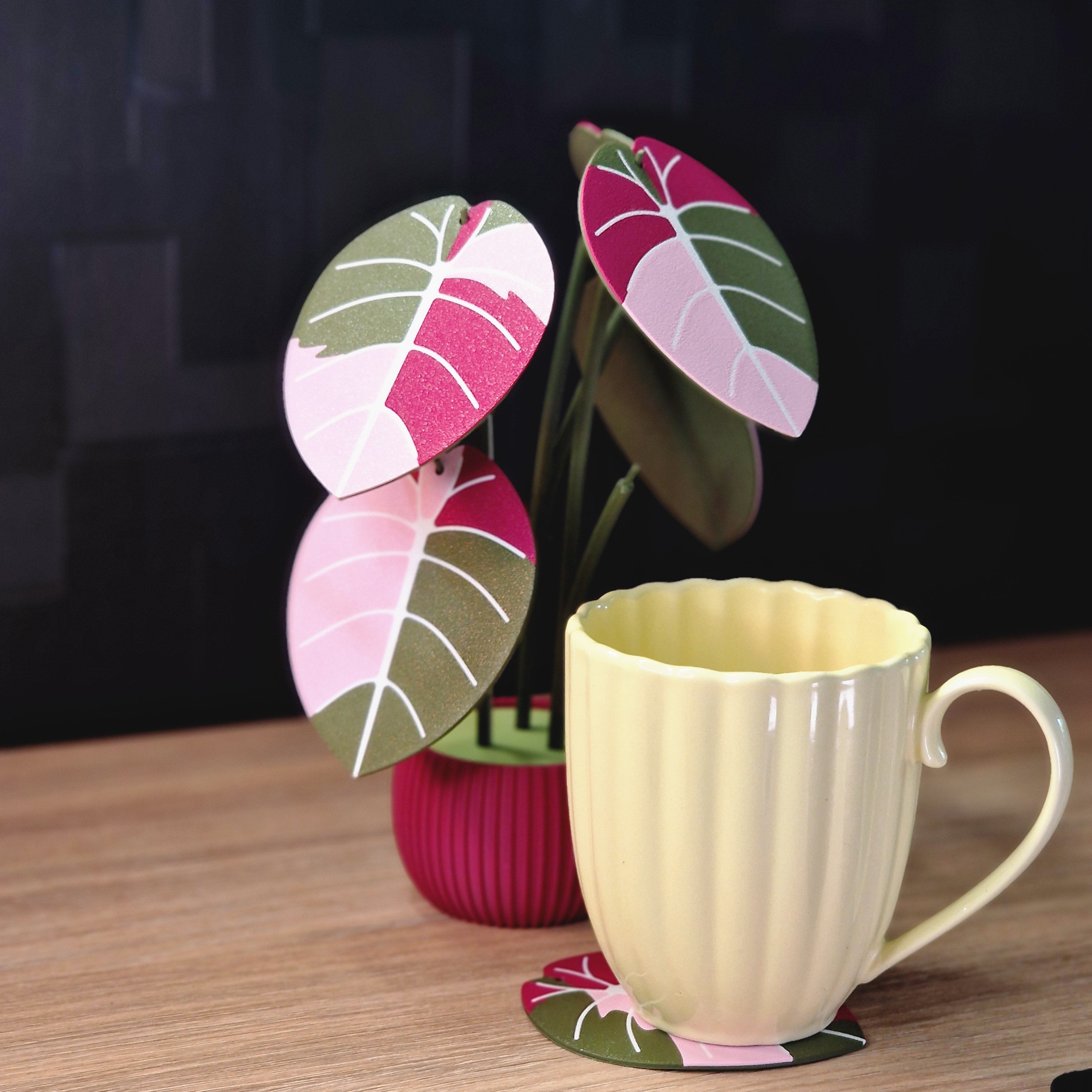 Home Decor / Gifts