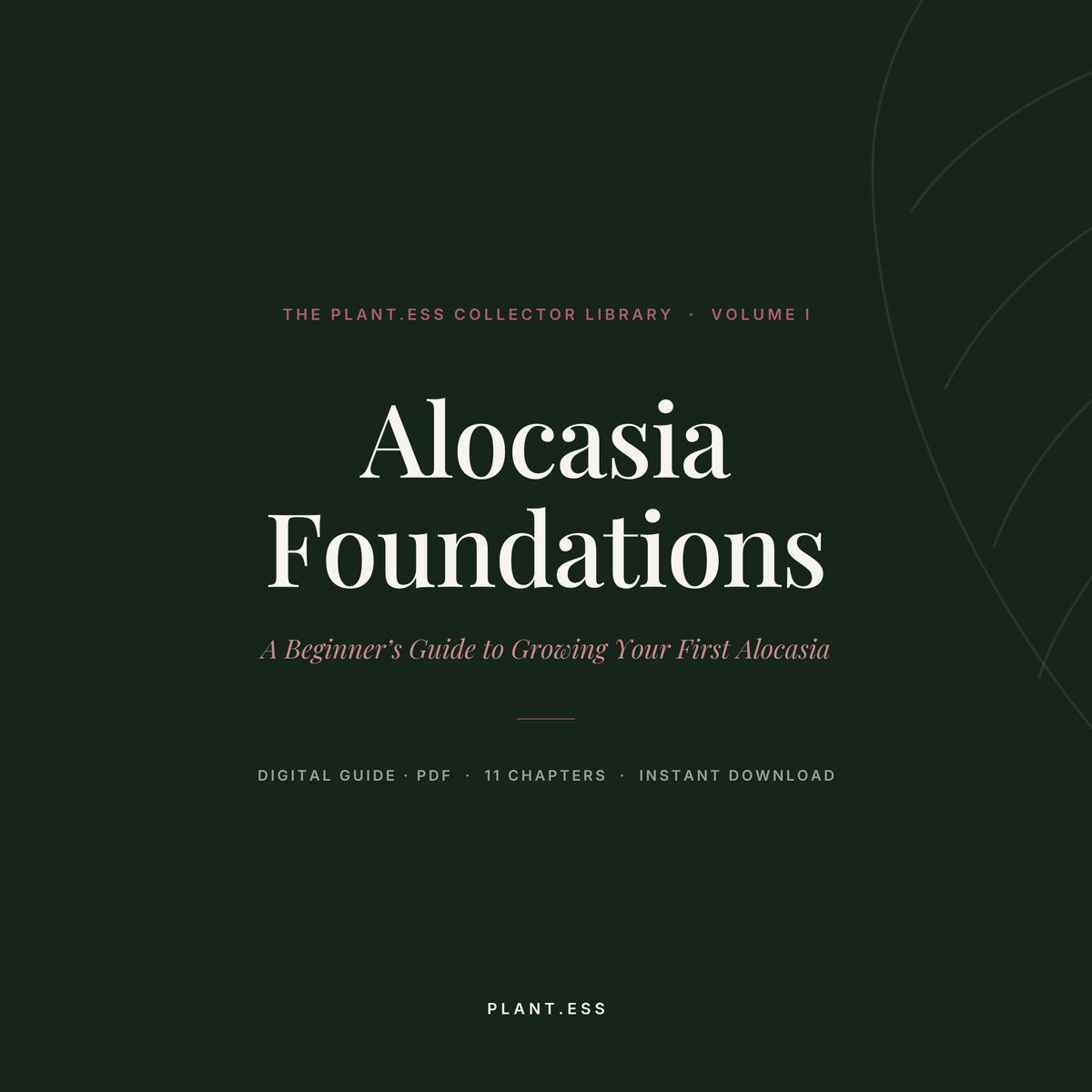 Alocasia Foundations — Digital Care Guide (Vol. I)