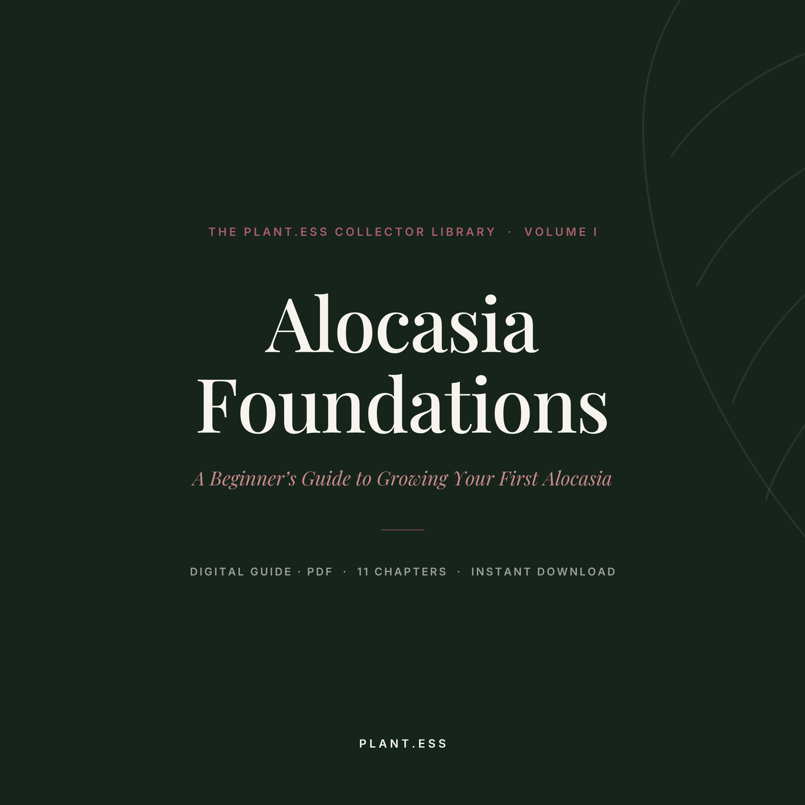 Alocasia Foundations — Digital Care Guide (Vol. I)