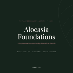 Alocasia Foundations — Digital Care Guide (Vol. I)