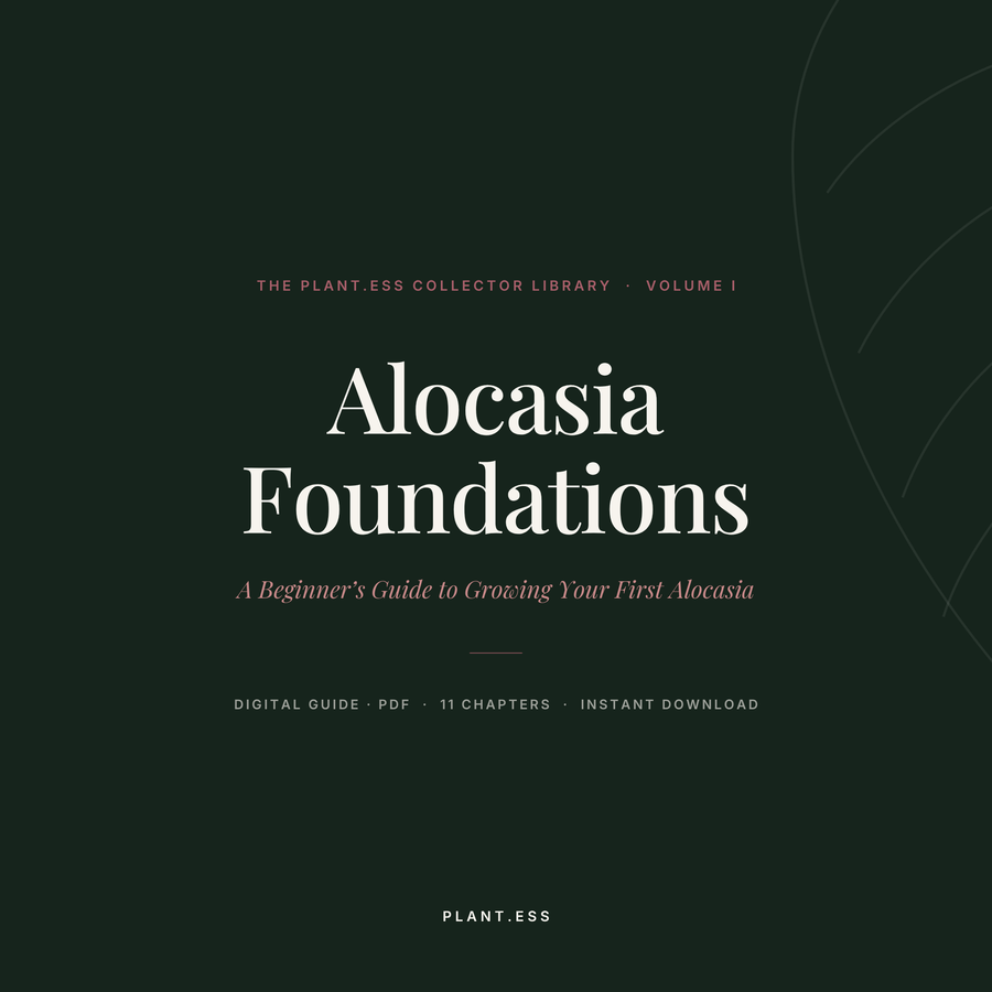 Alocasia Foundations — Digital Care Guide (Vol. I)