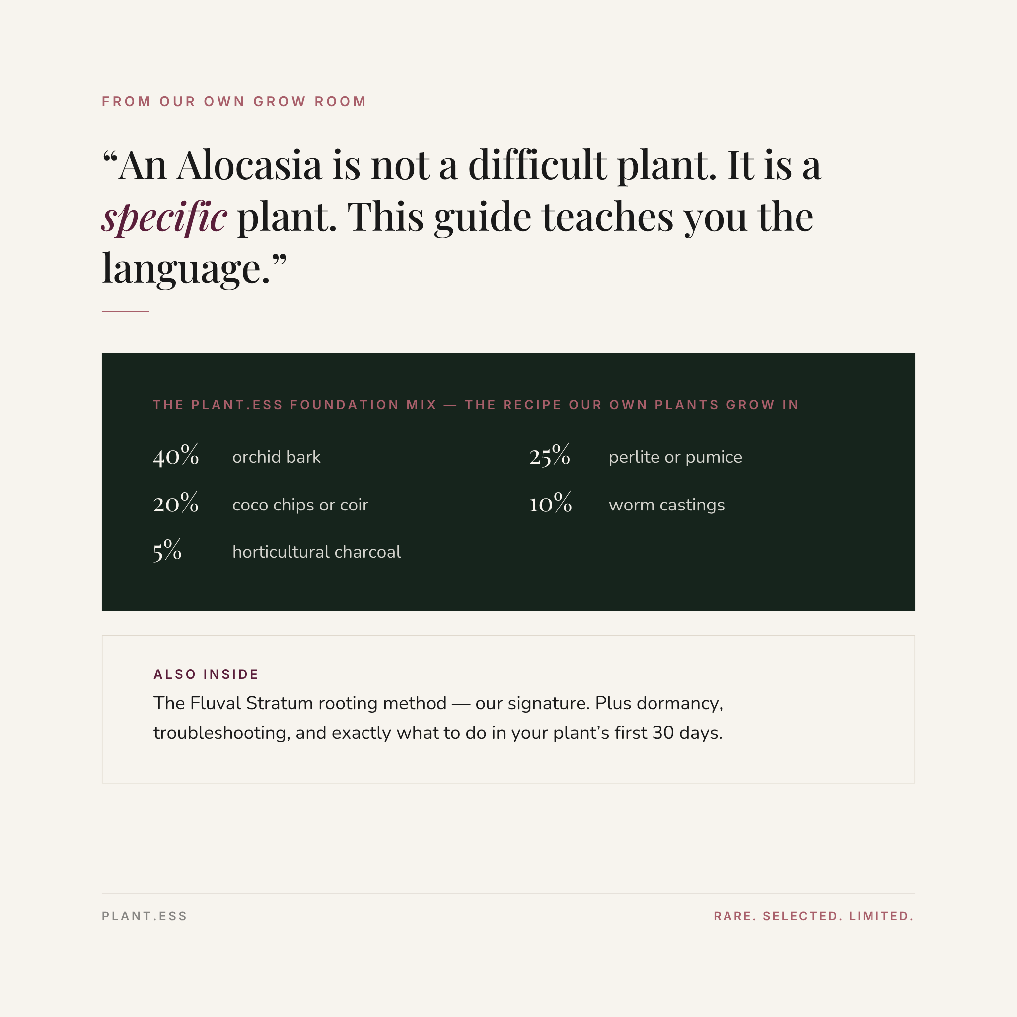 Alocasia Foundations — Digital Care Guide (Vol. I)