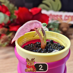 Alocasia Heart Balloon Pink