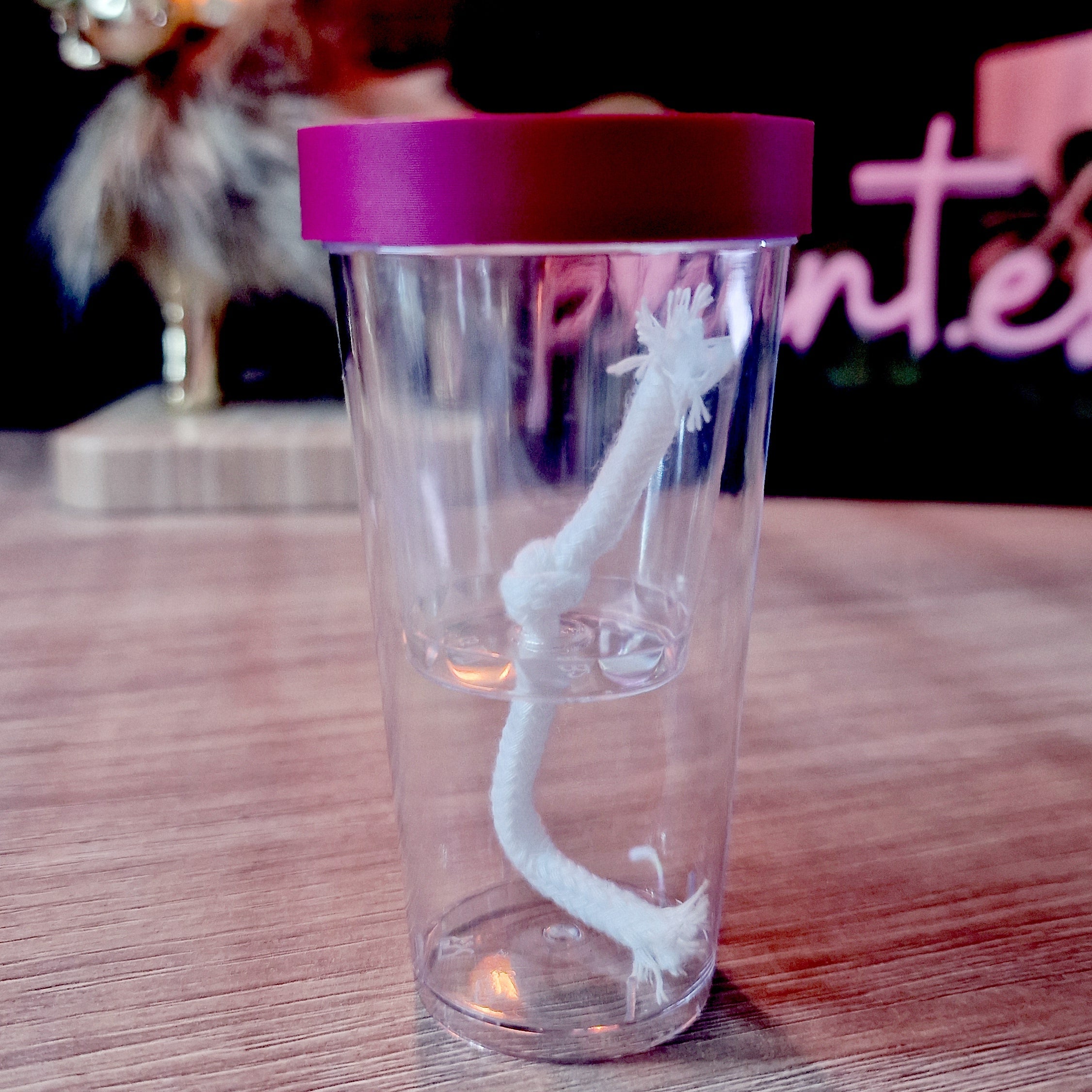 Ring Holders | 3D Printed Accessory for Plant Trays