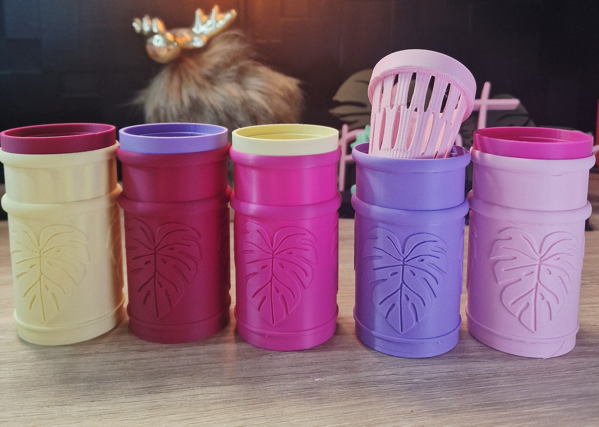 BUNDLE Mini Selfwatering pots