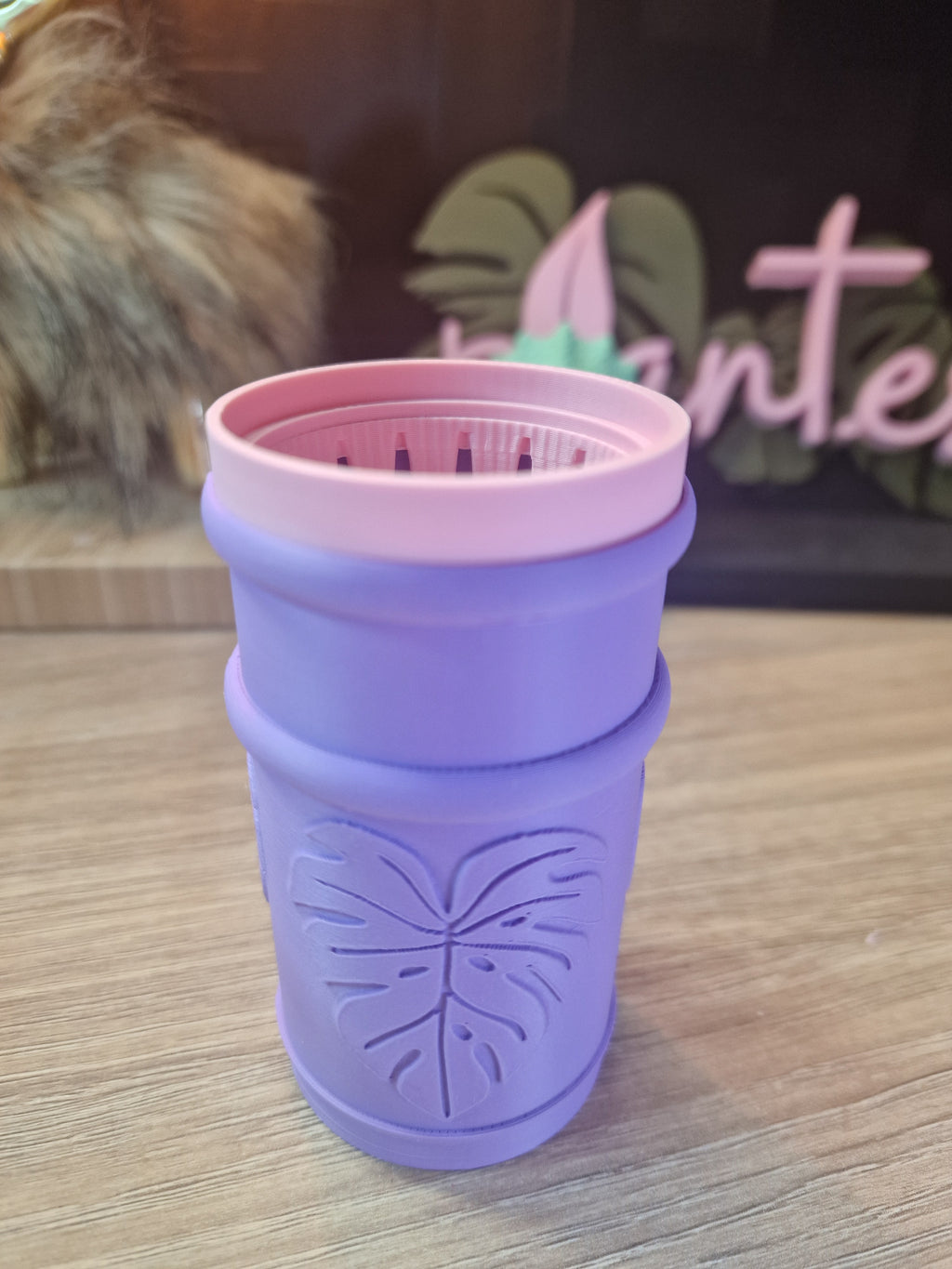 BUNDLE Mini Selfwatering pots