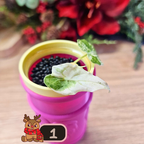 Alocasia Watsoniana albo/pink