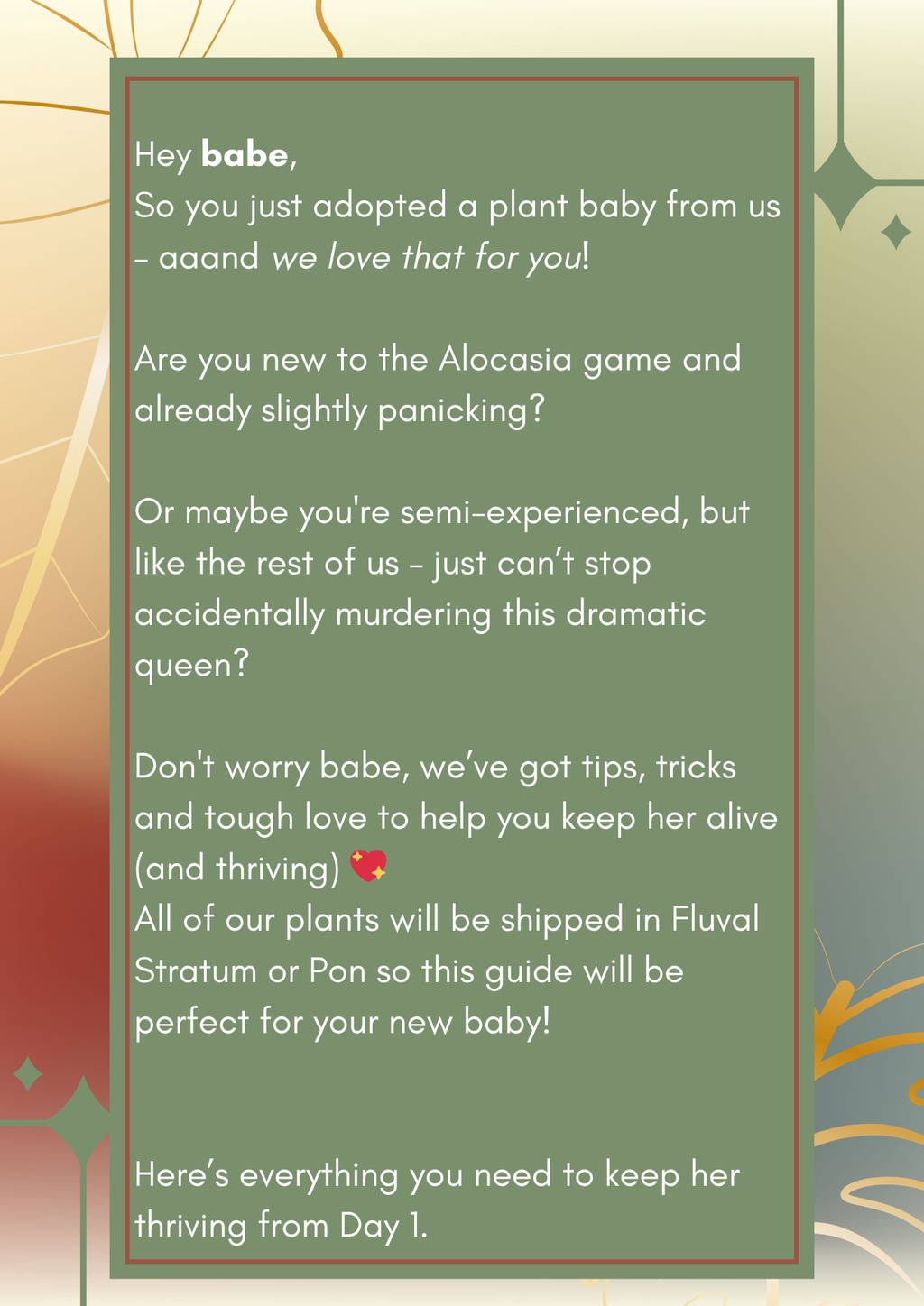 Alocasia Baby Care Guide – PDF (10 pages)