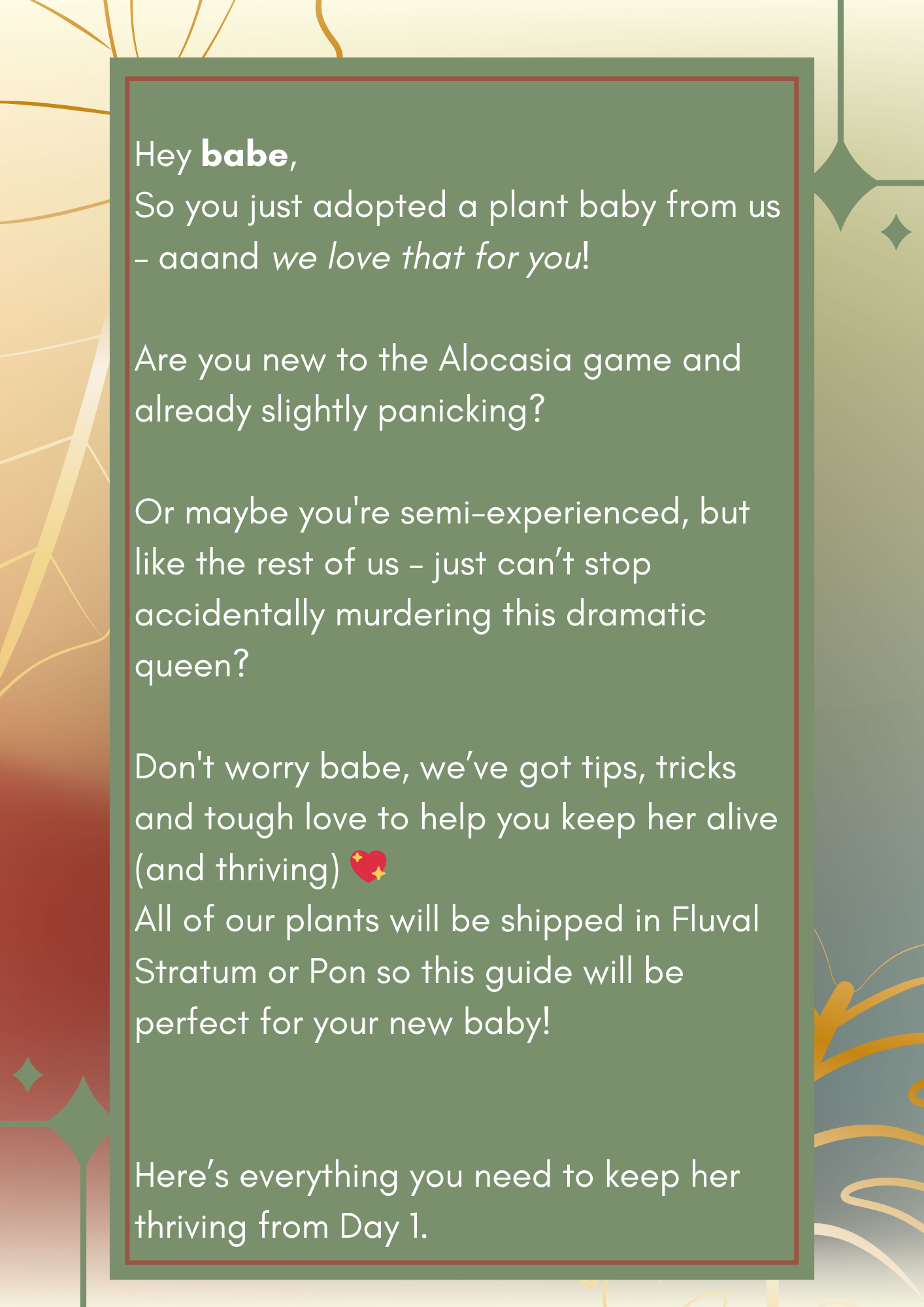 Alocasia Baby Care Guide – PDF (10 pages)