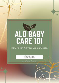 Alocasia baby care guide PDF 10 page plant care manual Plant.ess