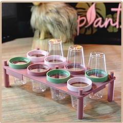 Ring Holders | 3D Printed Accessory for Plant Trays