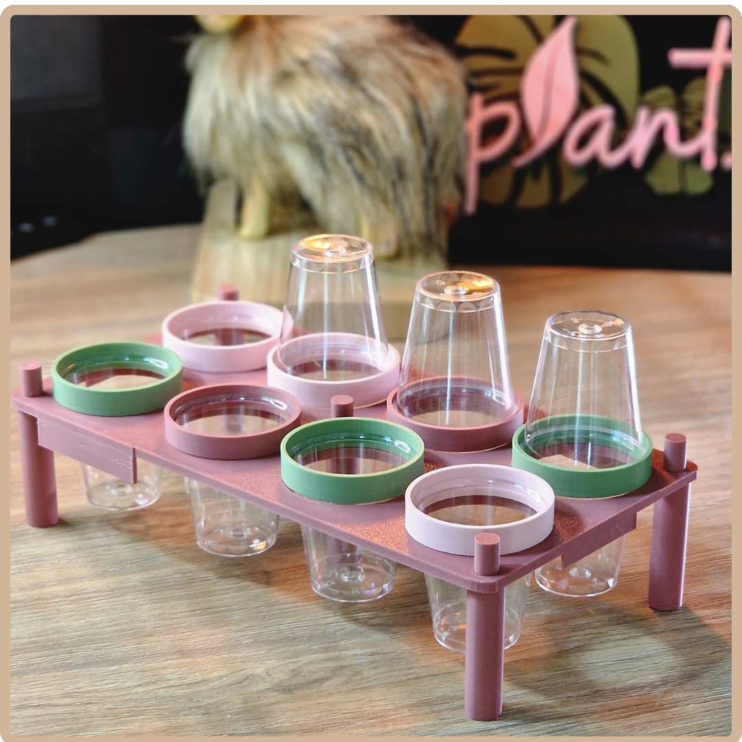 Ring Holders | 3D Printed Accessory for Plant Trays