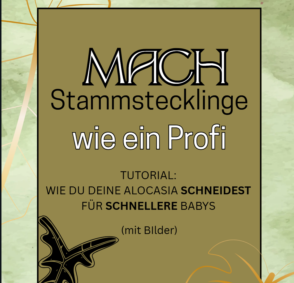 GERMAN! Make Stemcuts like a Pro!