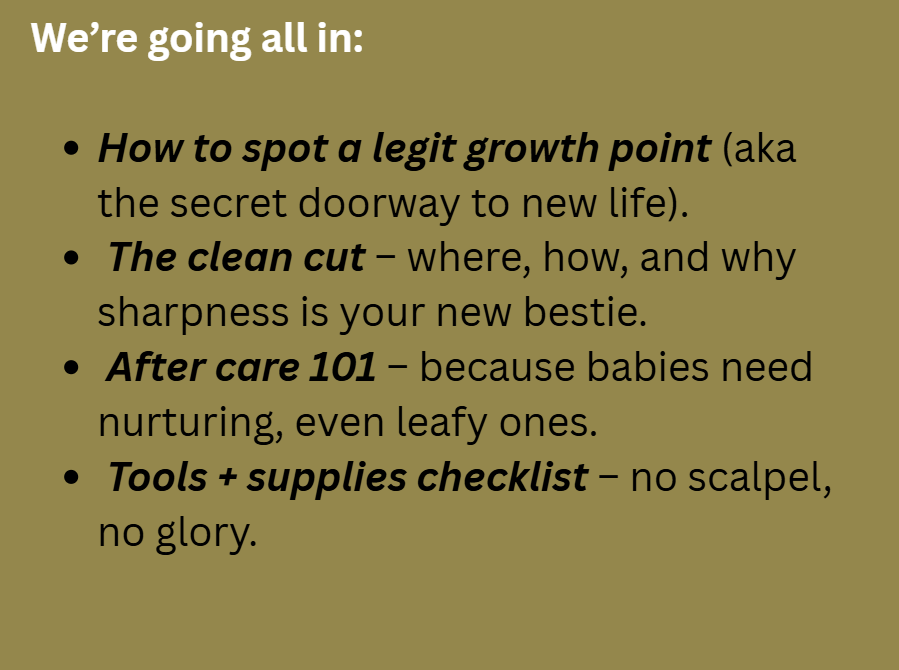 Make Stemcuts like a Pro!