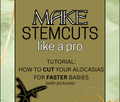 Alocasia stem cutting PDF guide cover Plant.ess Sweden