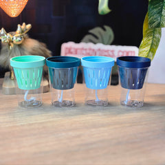 MIDI SIPS Bundle Pack of 4 | Self-Watering Plant Pots Save Set