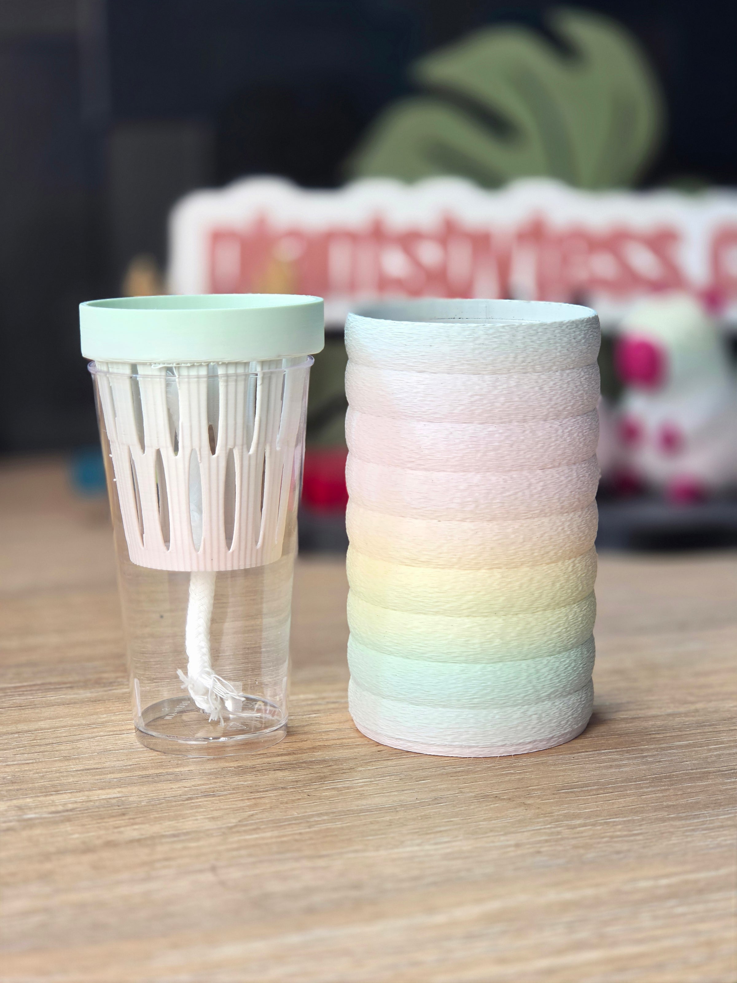 MINI SIPS Complete Set | Self-Watering Pot System for Small Plants