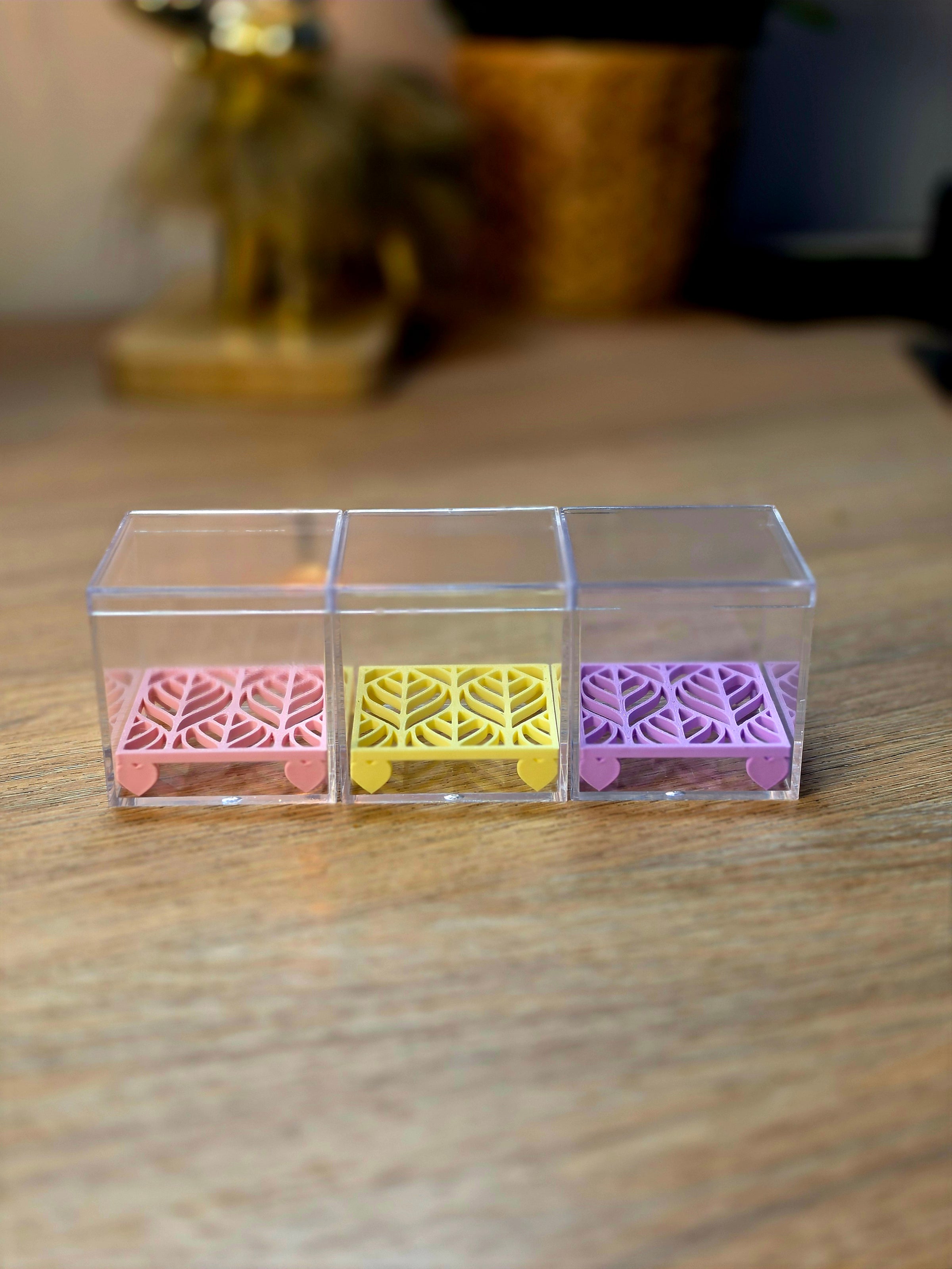 Corm Risers | 3D Printed Propagation Set with Acrylic Box