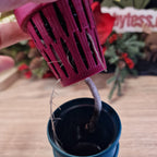 Alocasia Reginae albo/pink