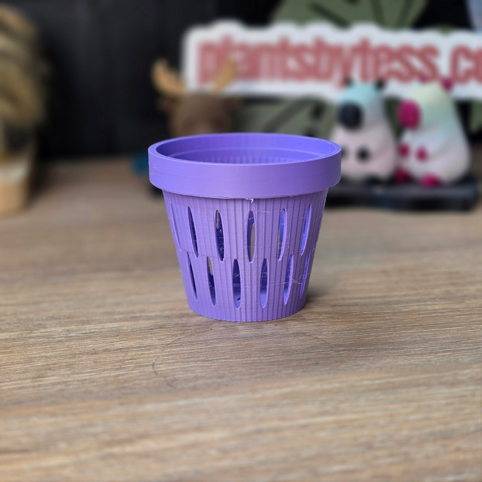 MIDI SIPS | Self-Watering Plant Pot for Medium Plants