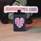 Tiny Sips – Self-watering pot (Small)