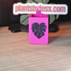 Tiny Sips – Self-watering pot (Small)