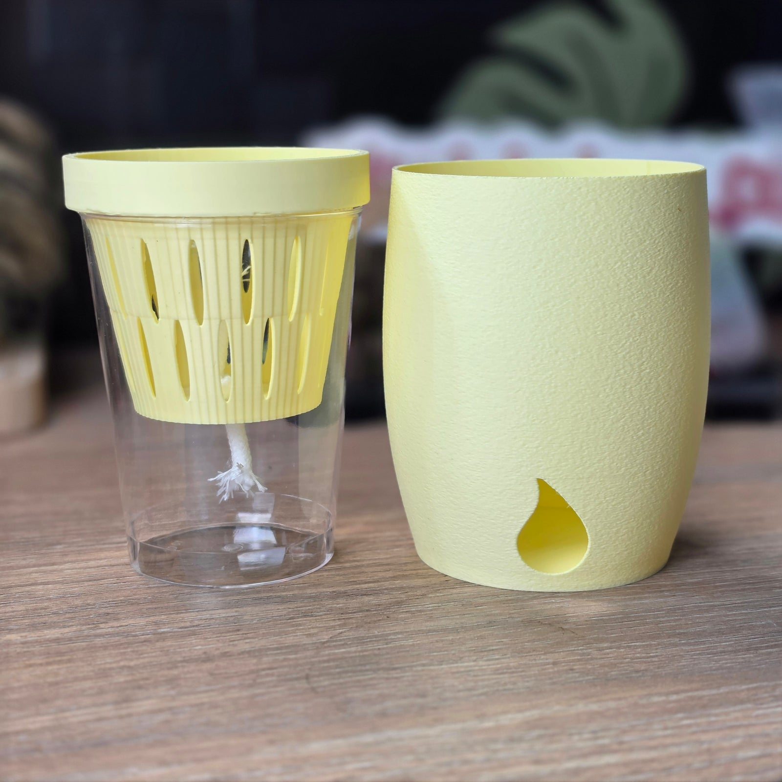 MIDI SIPS Plain Complete Set | Self-Watering Pot System