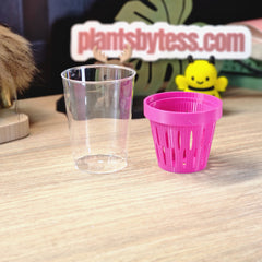 MIDI SIPS clear inner pots replacement for self-watering at Plant.ess