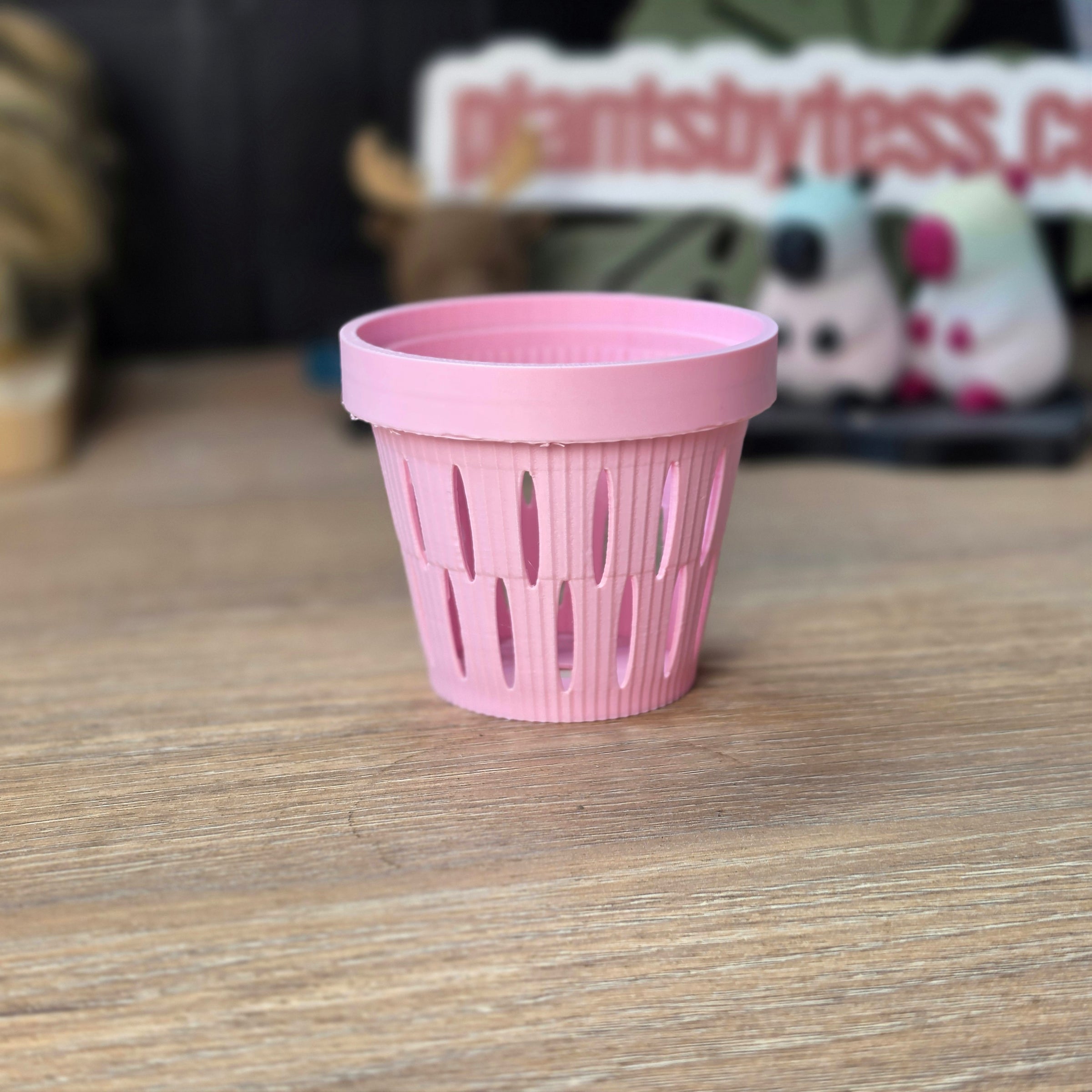 MIDI SIPS | Self-Watering Plant Pot for Medium Plants