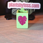 Tiny Sips – Self-watering pot (Small)