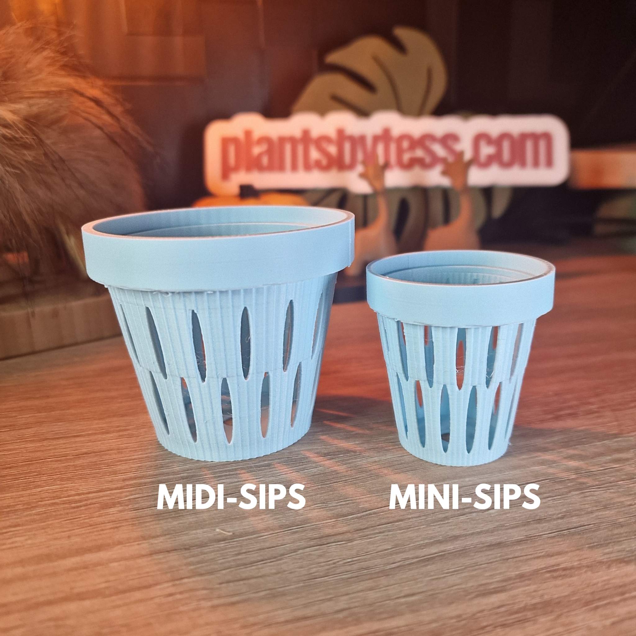 MIDI SIPS | Self-Watering Plant Pot for Medium Plants