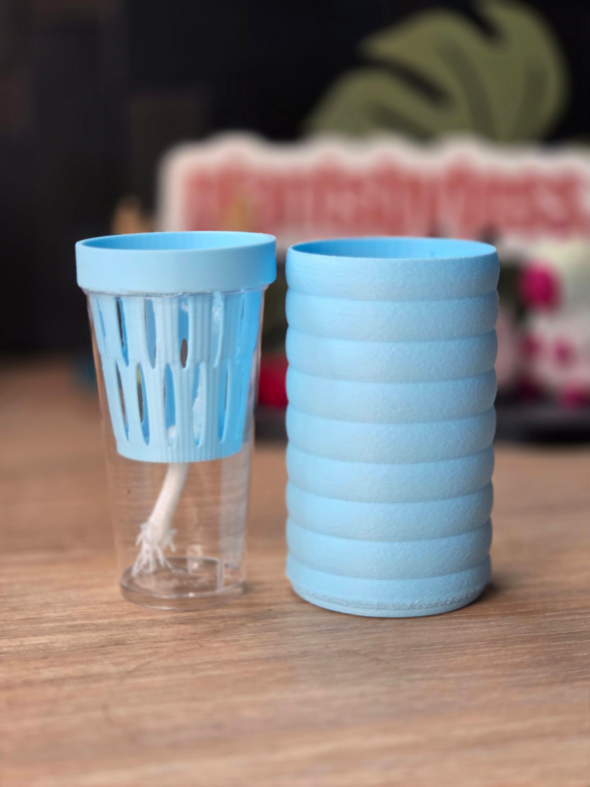 MINI SIPS Complete Set | Self-Watering Pot System for Small Plants