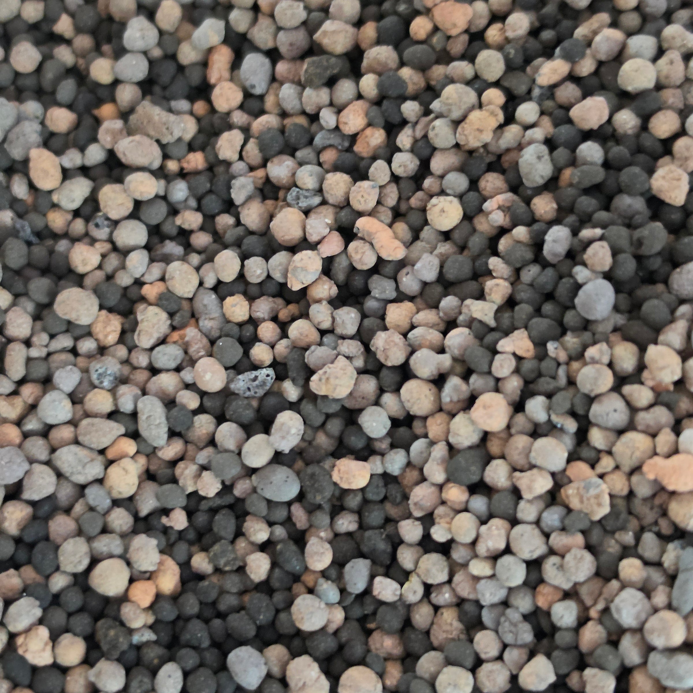 50/50 Stratum + Mini Leca Mix 1L | Premium Plant Substrate