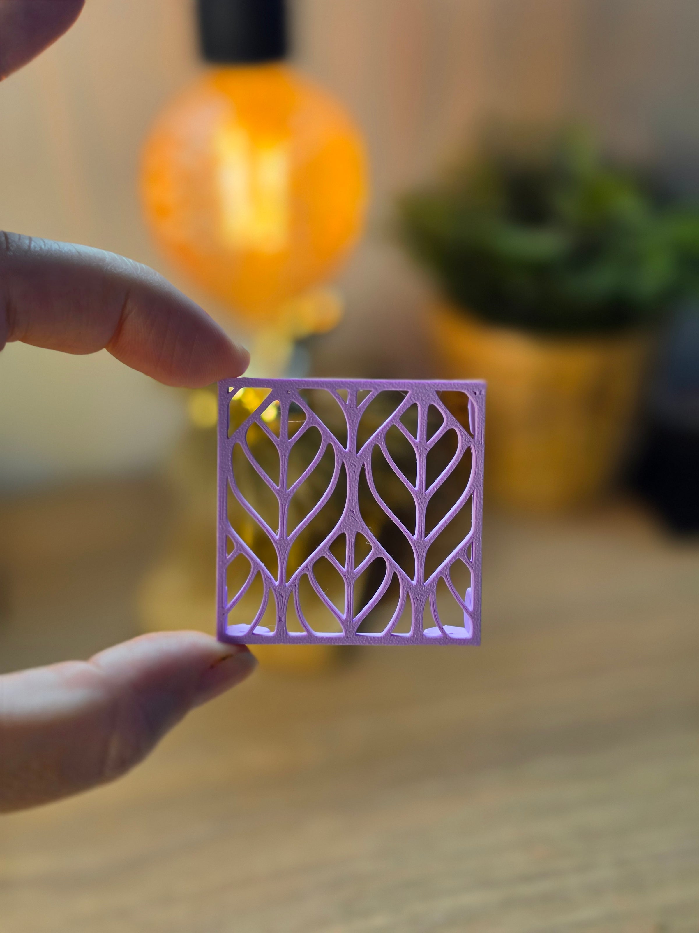 Corm Risers | 3D Printed Propagation Set with Acrylic Box