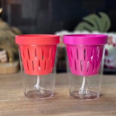 MIDI SIPS | Self-Watering Plant Pot for Medium Plants