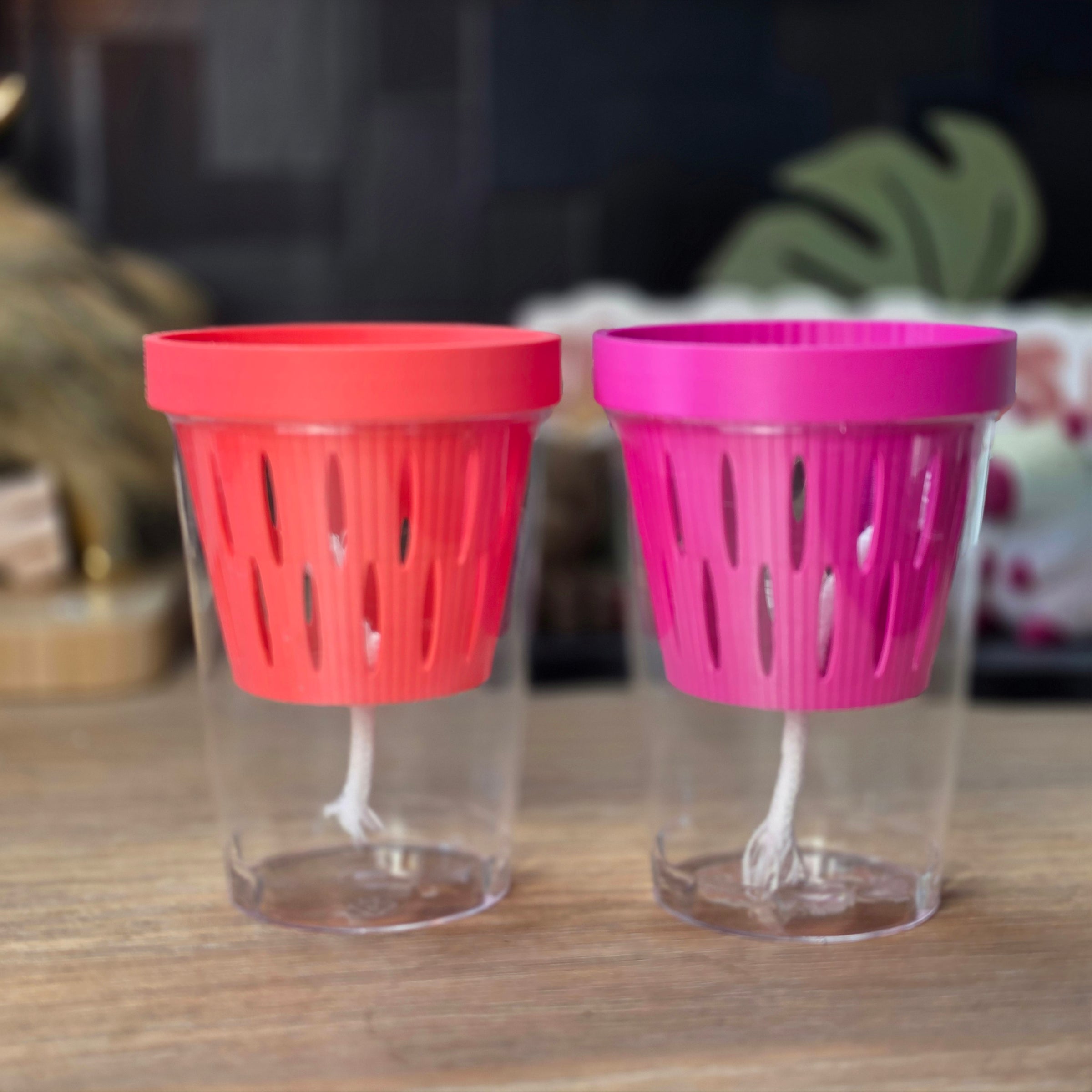 MIDI SIPS | Self-Watering Plant Pot for Medium Plants