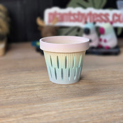 MIDI SIPS | Self-Watering Plant Pot for Medium Plants