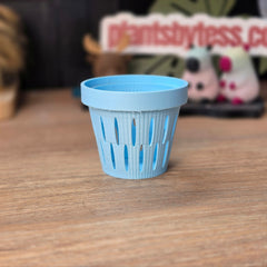 MIDI SIPS | Self-Watering Plant Pot for Medium Plants