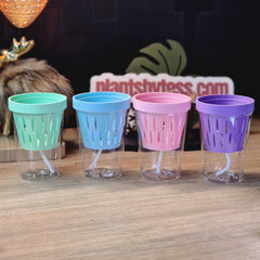 MIDI SIPS Bundle Pack of 4 | Self-Watering Plant Pots Save Set