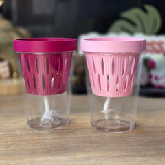MIDI SIPS | Self-Watering Plant Pot for Medium Plants