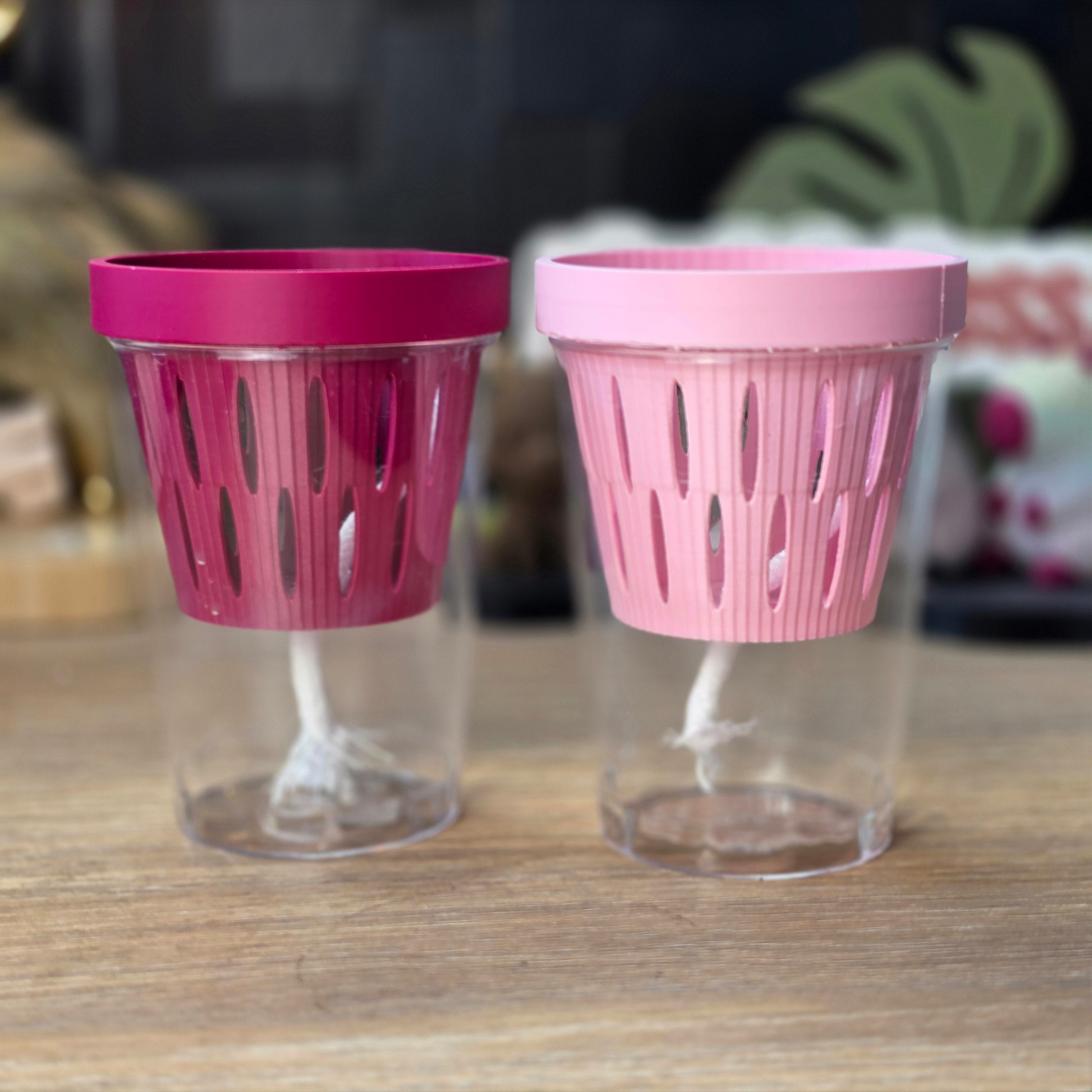MIDI SIPS | Self-Watering Plant Pot for Medium Plants
