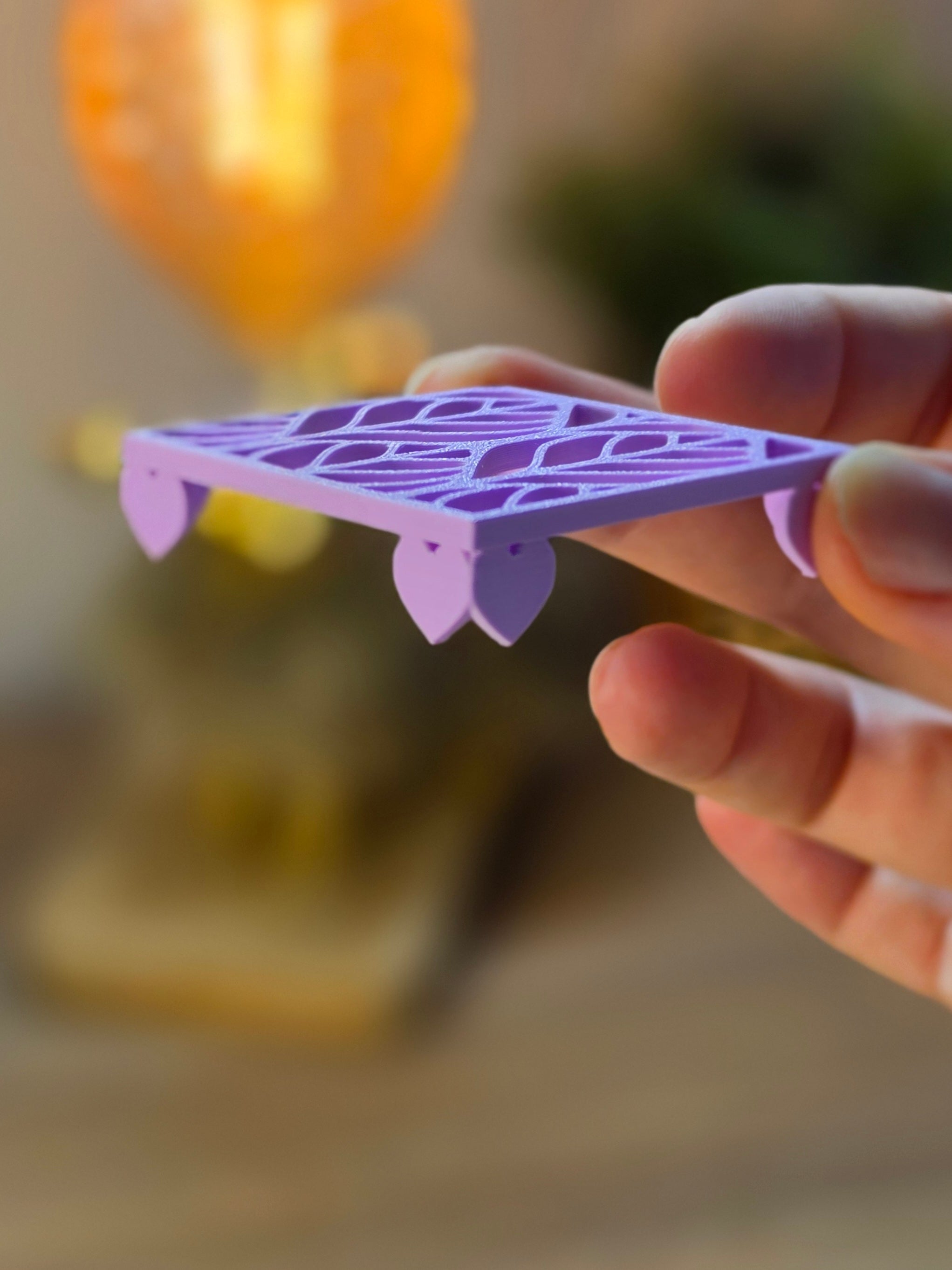 Corm Risers | 3D Printed Propagation Set with Acrylic Box