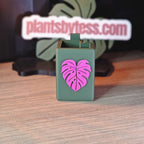 Tiny Sips – Self-watering pot (Small)