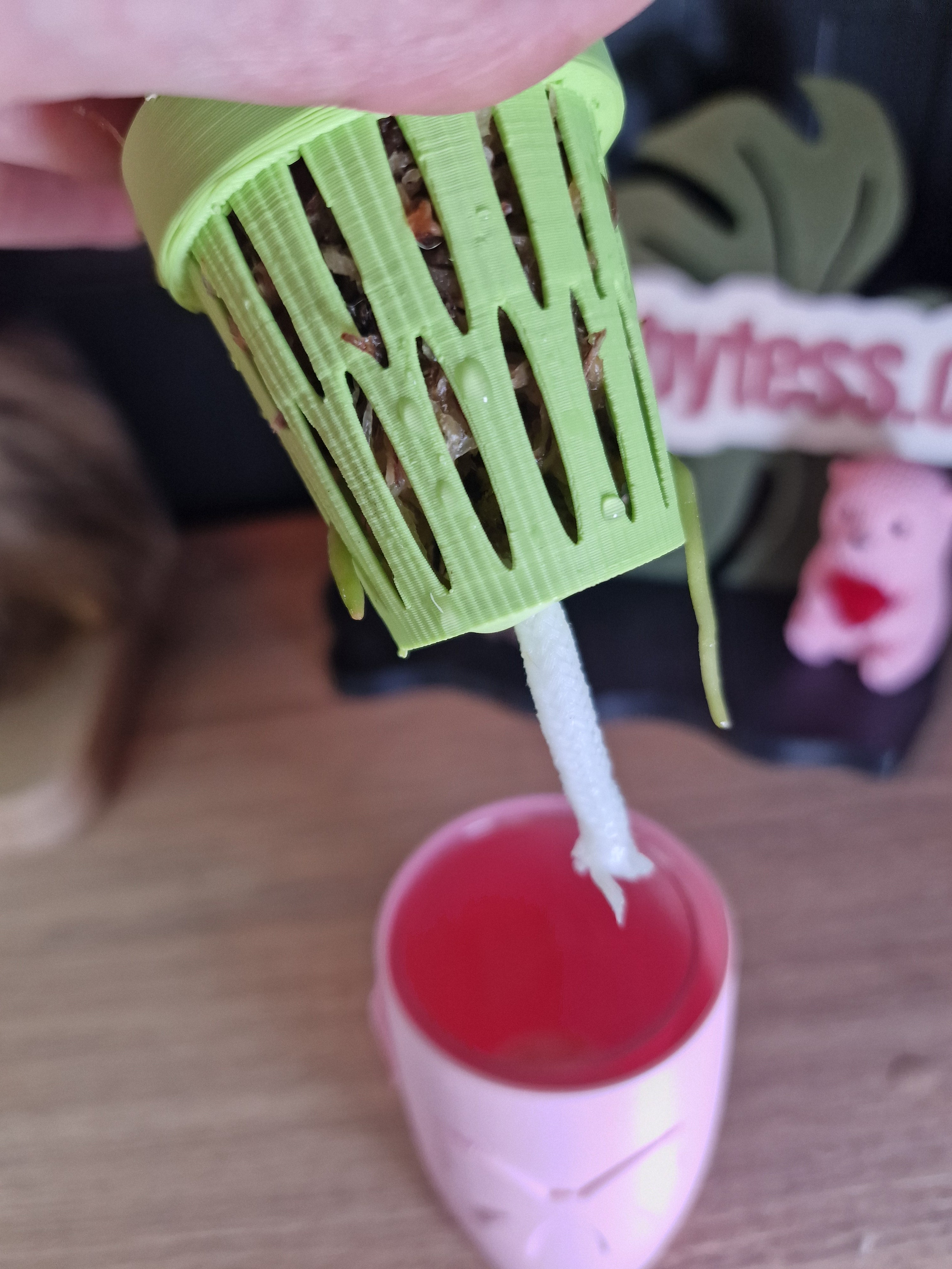 Anthurium Forgetti x (CarlaxAOS) #2